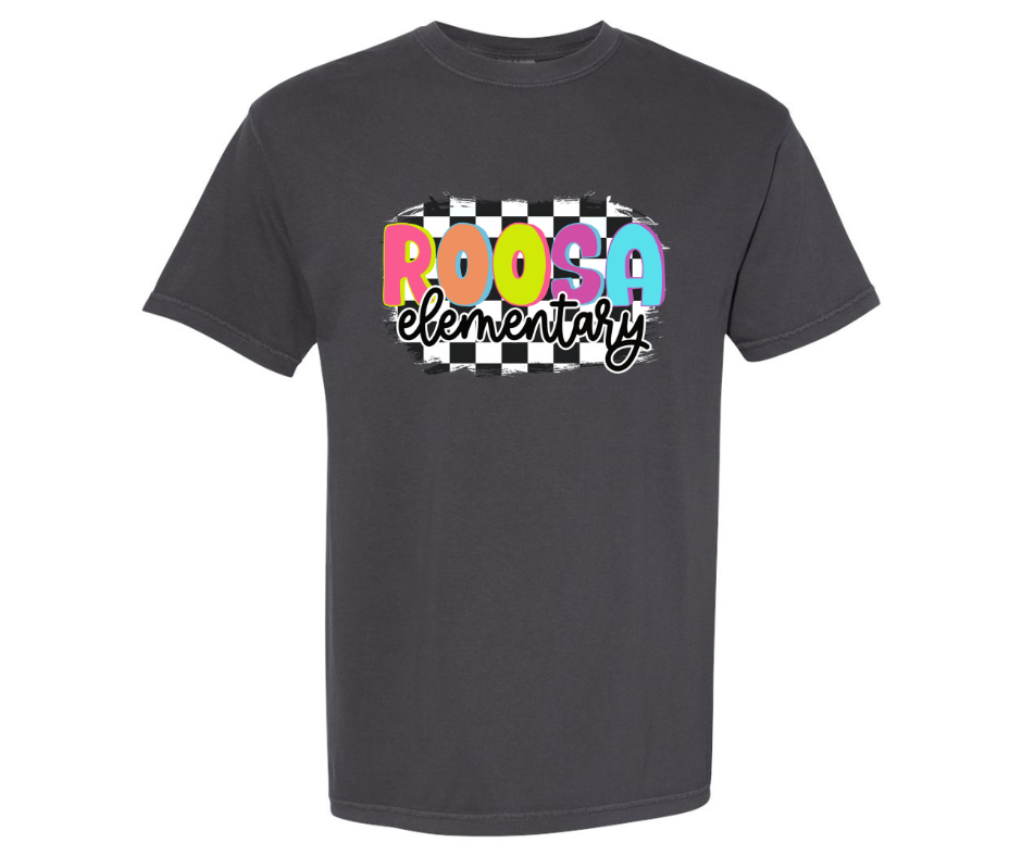 Roosa Elementary checkered