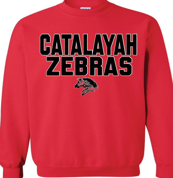 Catalayah Zebras with mascot.