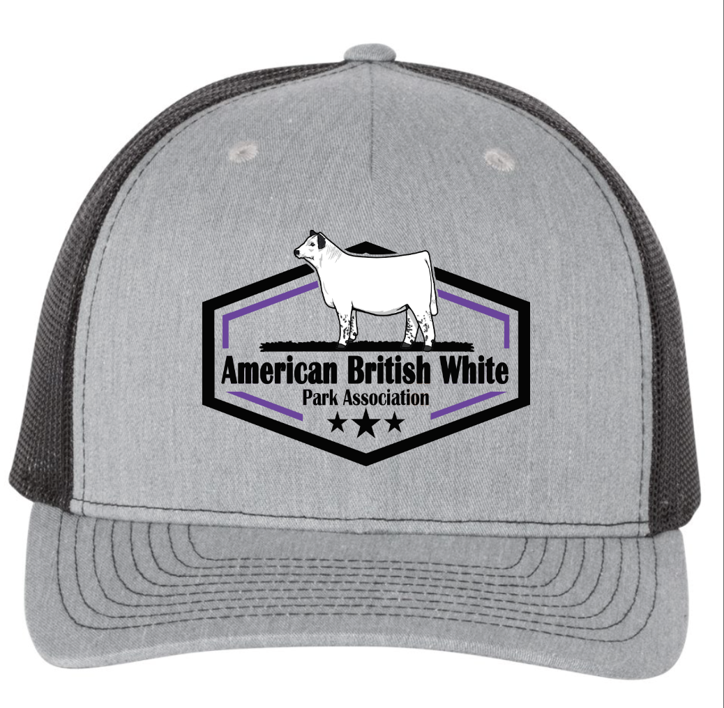 ABWPA embroidered hat 2