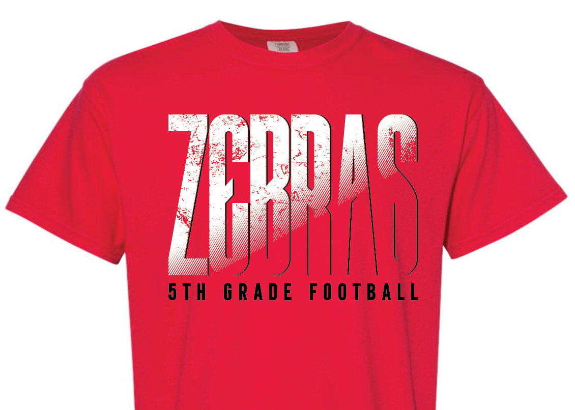 CZ 5th grade - ZEBRAS fade