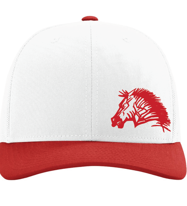 CZ 5th grade embroidered Richardson 112 - Zebra mascot