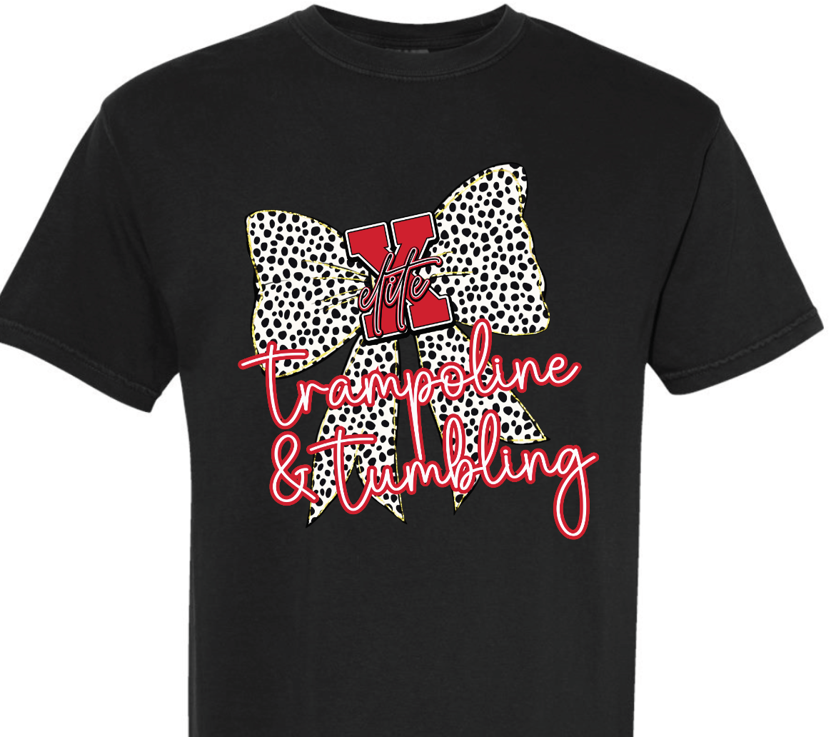 EXGT - dalmatian bow trampoline & tumbling