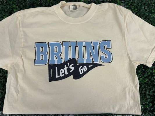 Bruins pennant