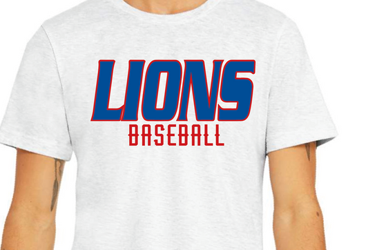 Lions jersey font baseball