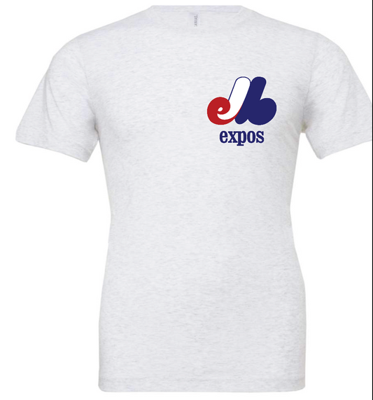 Expos small logo - ash