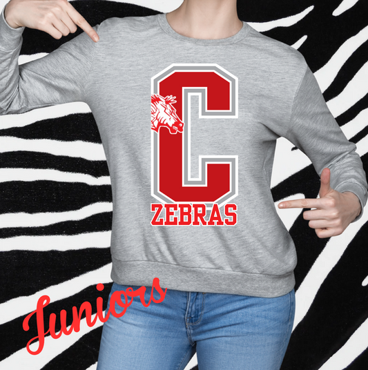 Junior Cheer Design