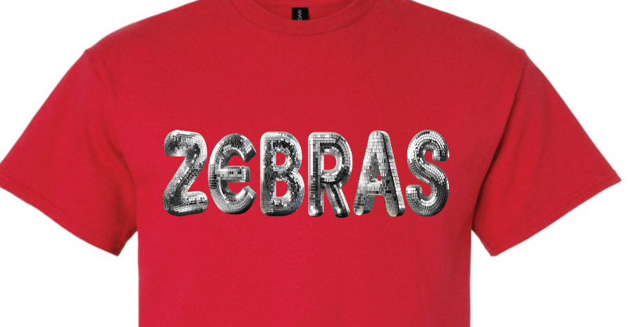 Discoball ZEBRAS