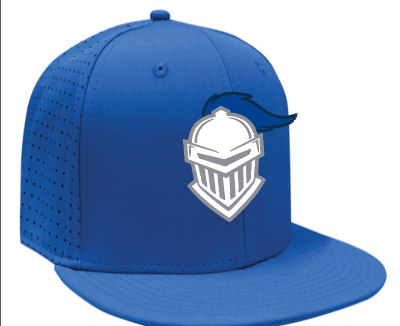 Embroidered CCA baseball hats