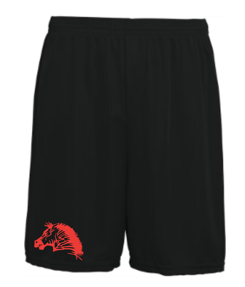 CZ 2nd grade football shorts