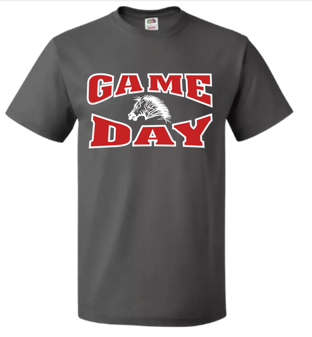 Claremore Cheer Game Day zebra