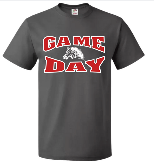 Claremore Cheer Game Day zebra