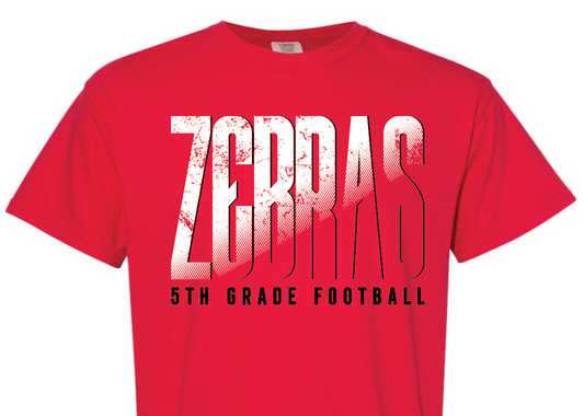 CZ 5th grade - ZEBRAS fade