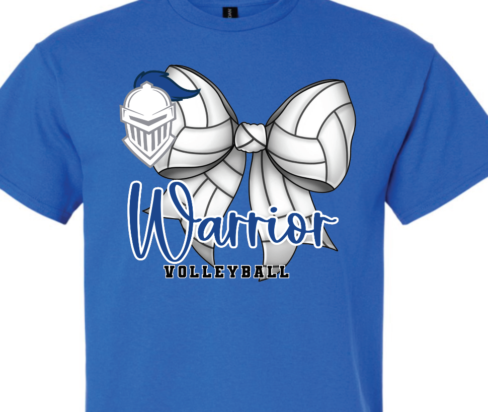 CCA - volleyball 4