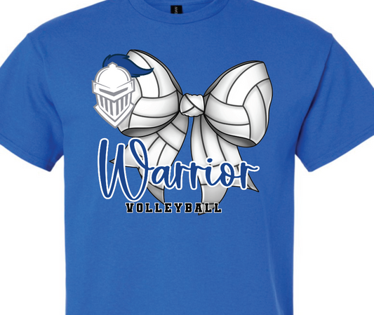 CCA - volleyball 4
