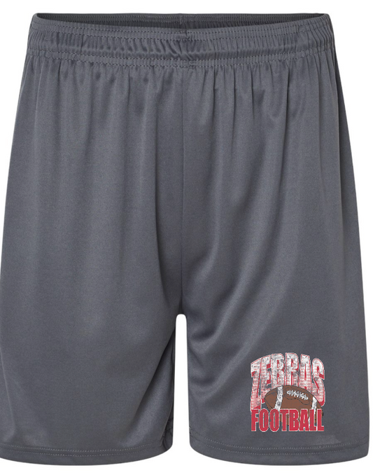 CZ 5th grade graphite shorts with pockets