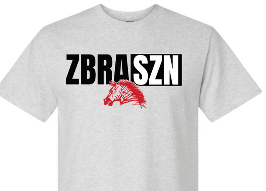 CES - ZBRASZN