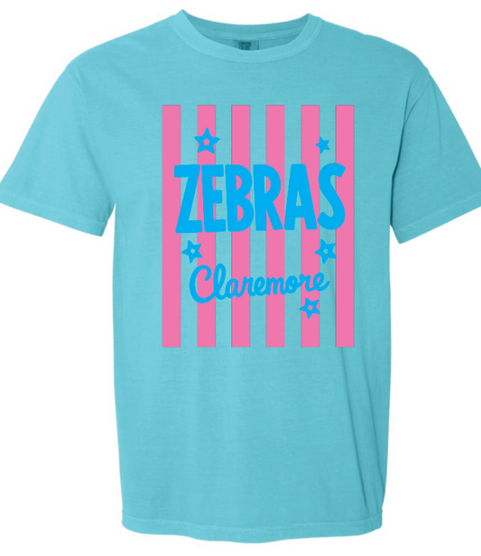 CES - pink stripe Claremore Zebras