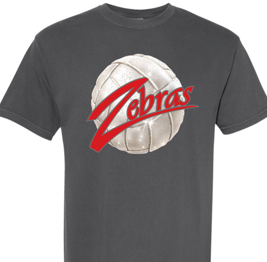 CZ VB sparkle volleyball Zebras