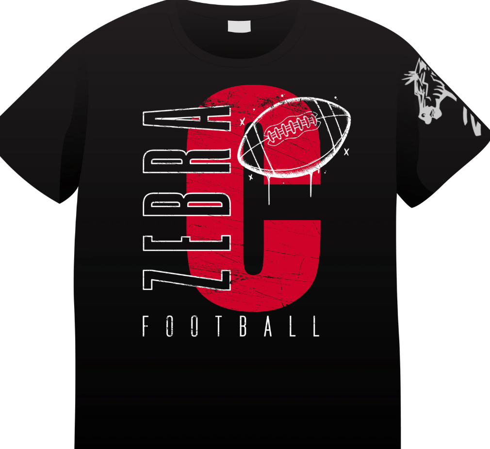 CZ3 - C zebras football