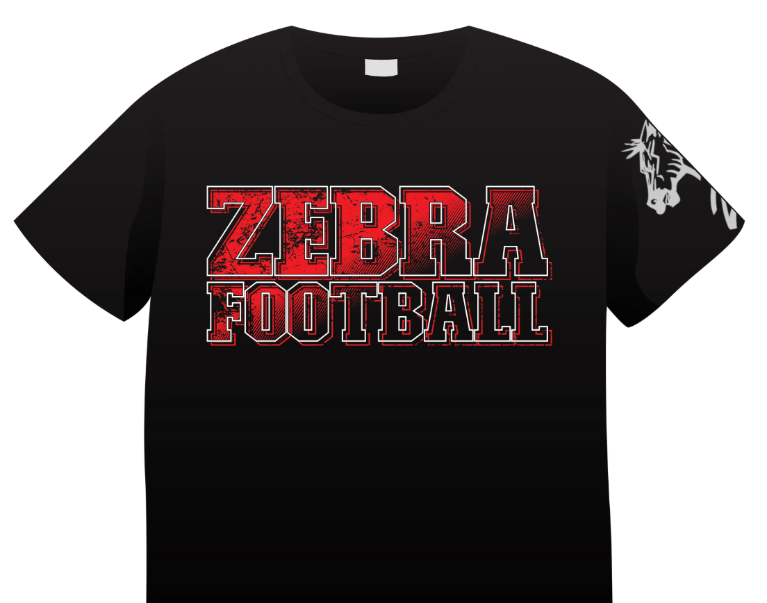 CZ3 - Zebra football