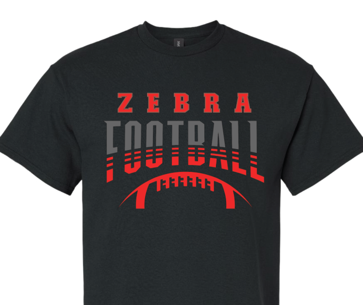 CZ3 - Zebra football split