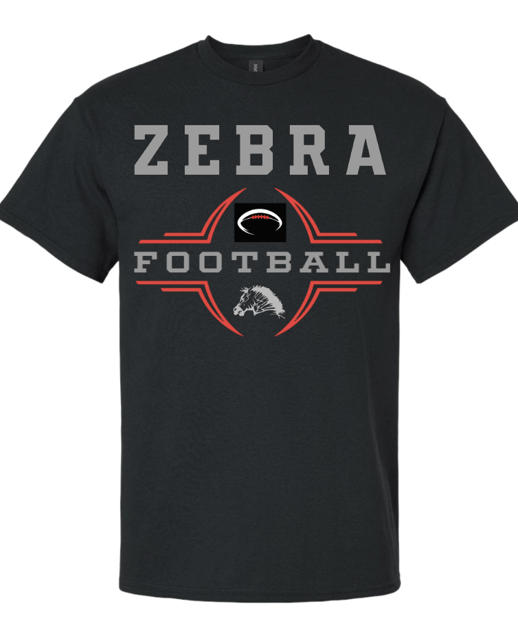 CZ3 - Zebra football 3