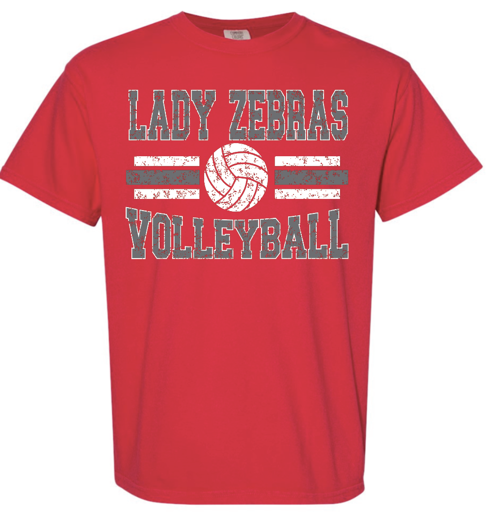 CZ VB distressed Lady Zebras