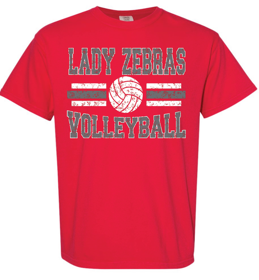 CZ VB distressed Lady Zebras