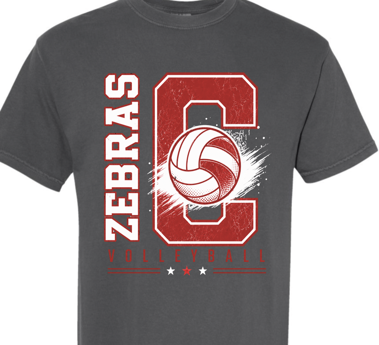 CZ VB Lady Zebras dot