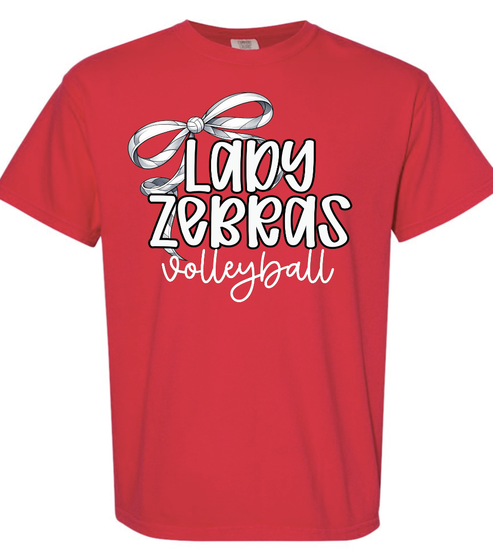 CZ VB Lady Zebras bow